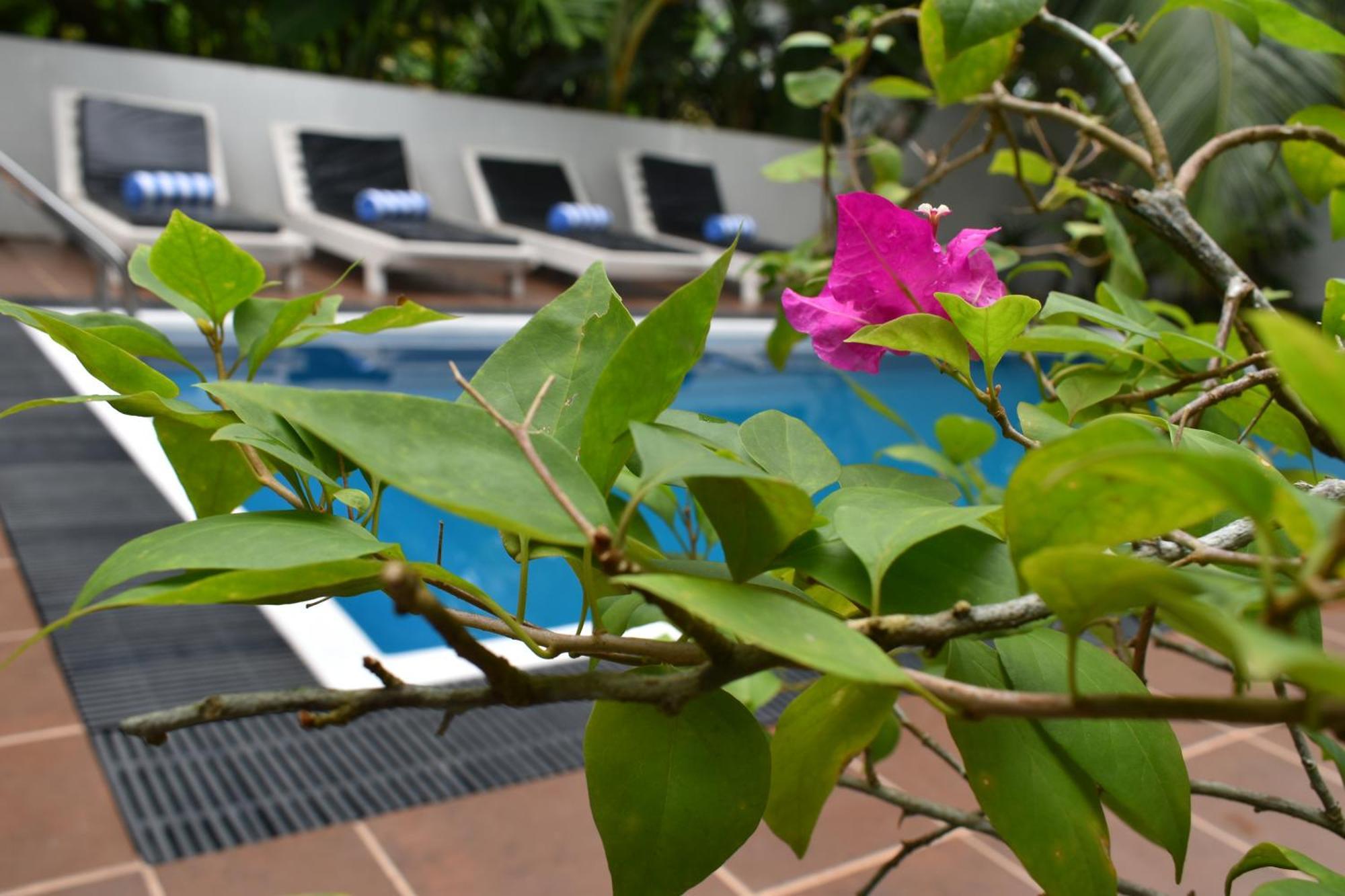 Sea Cloud Hotel Unawatuna Exterior photo